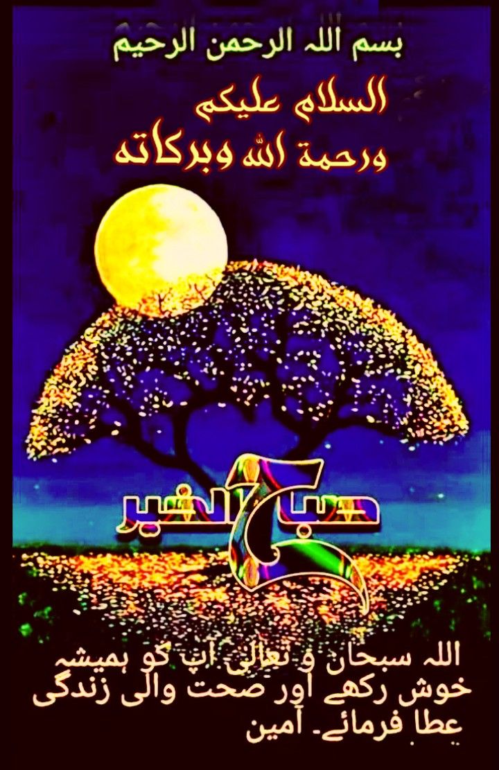 Muhammad Shafiq tweet media
