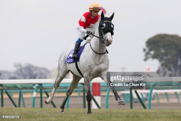 viridityghost's tweet photo. feeling a sort of joy over this horse an irl showed me why is he like this https://t.co/hP3z7zWWVM