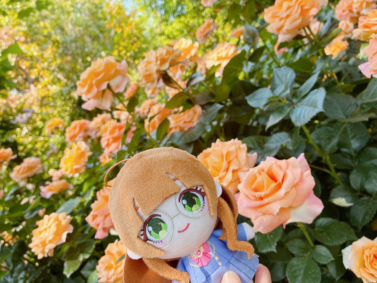 岡村明香(おかむらはるか)🐖 tweet media