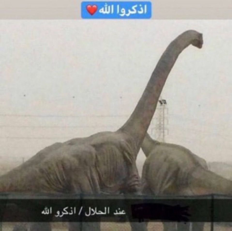 ِ tweet media