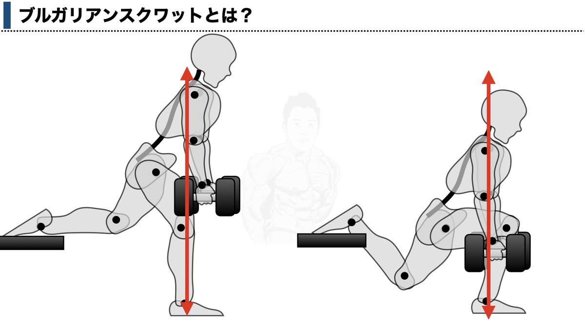 ブルガリアンスクワットスタンドを使う目的と、使い方が納得すぎました
