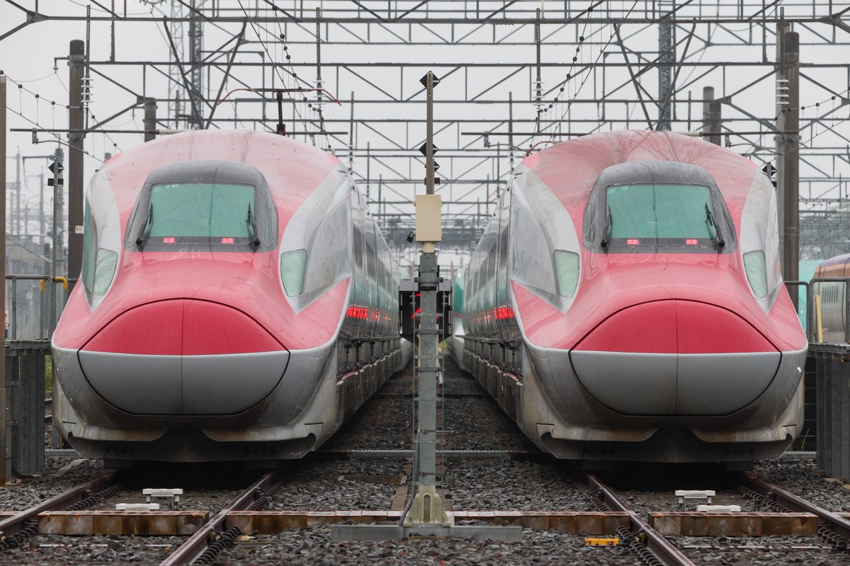 takoyaki_train7's tweet photo. 2026.5.24
那須塩原電留線　早朝撮影会
E2系 J74
E5系 U6.16.18.27.42.46.48
E6系 Z3.16
E8系 G4.7

久しぶりに撮影会に参加してきました📸
たくさんの新幹線が並ぶと迫力満点!! https://t.co/SAcrKQoP1x
