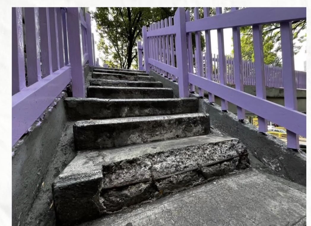 ifloggs_'s tweet photo. @Jualicra @ClaraBrugadaM @tomaspliegoc @craviotocesar @AnitaLomeli @anafrancismor @Daptnhe @monerohernandez @GobCDMX @epigmenioibarra Tremenda transformación hasta los baches pintan https://t.co/gELnXddpPD