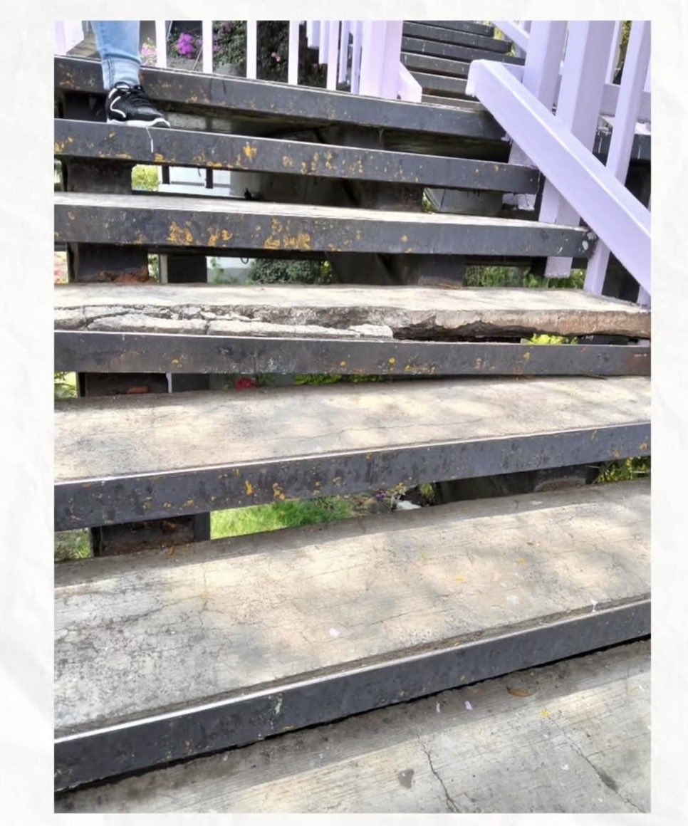 ifloggs_'s tweet photo. @Jualicra @ClaraBrugadaM @tomaspliegoc @craviotocesar @AnitaLomeli @anafrancismor @Daptnhe @monerohernandez @GobCDMX @epigmenioibarra Tremenda transformación hasta los baches pintan https://t.co/gELnXddpPD