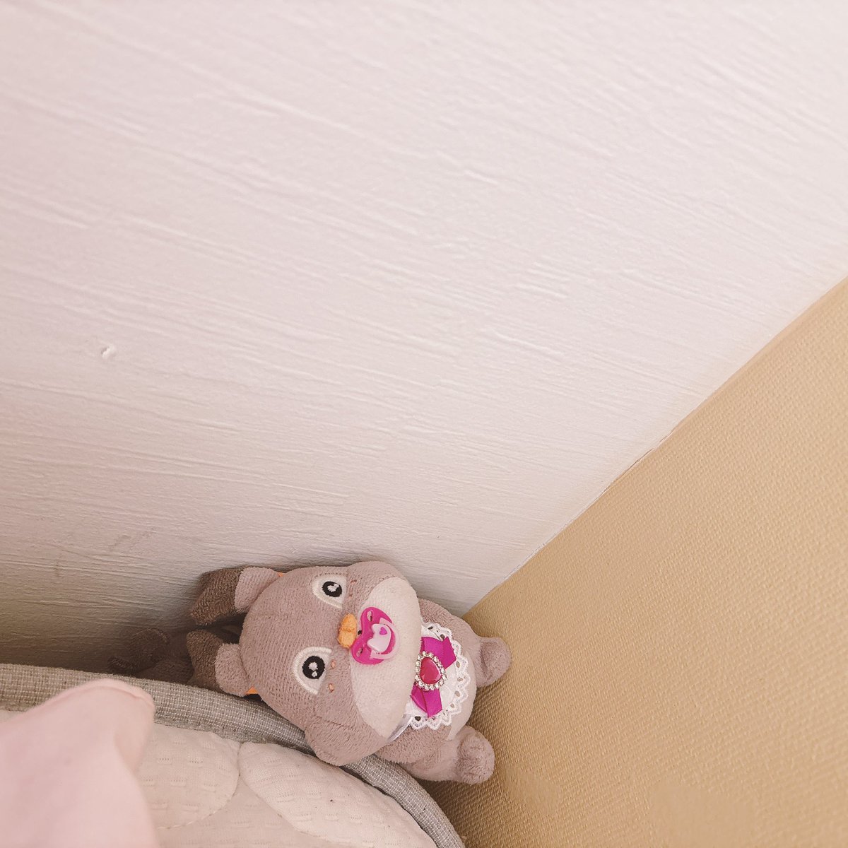 ほしがりす𝜗𝜚 tweet media