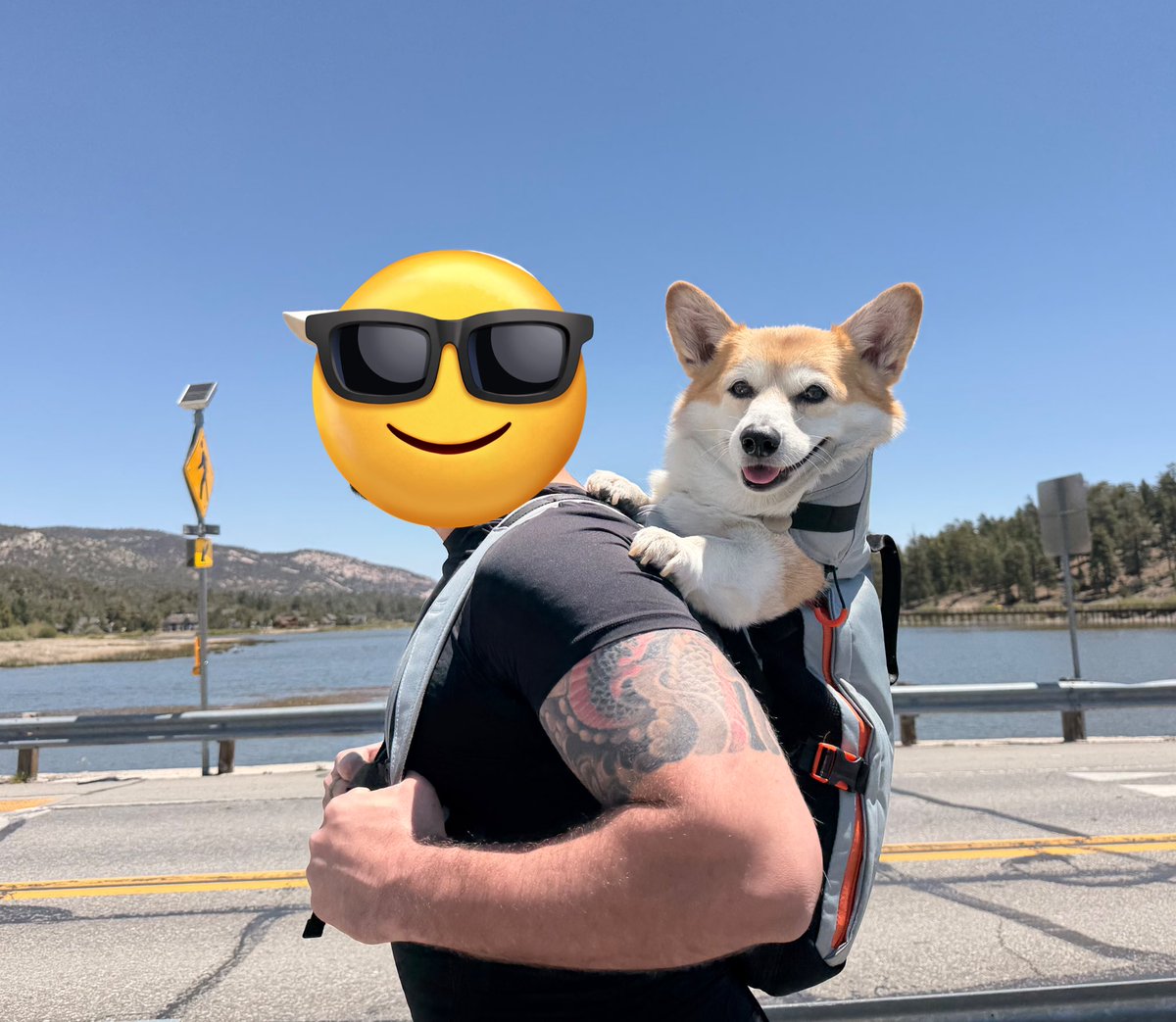 ccorgik's tweet photo. 3 https://t.co/cP51nRyST9