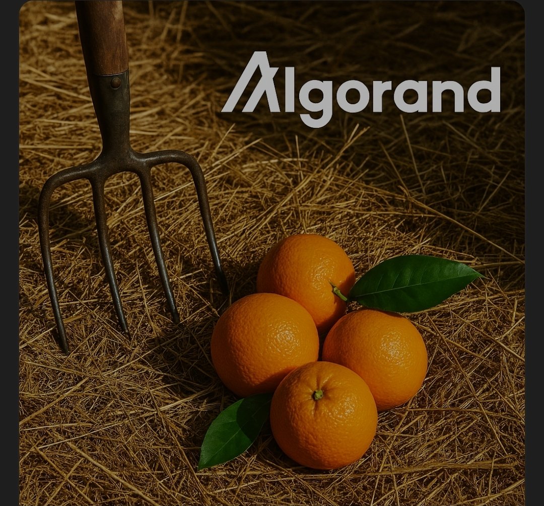 Orange tweet media