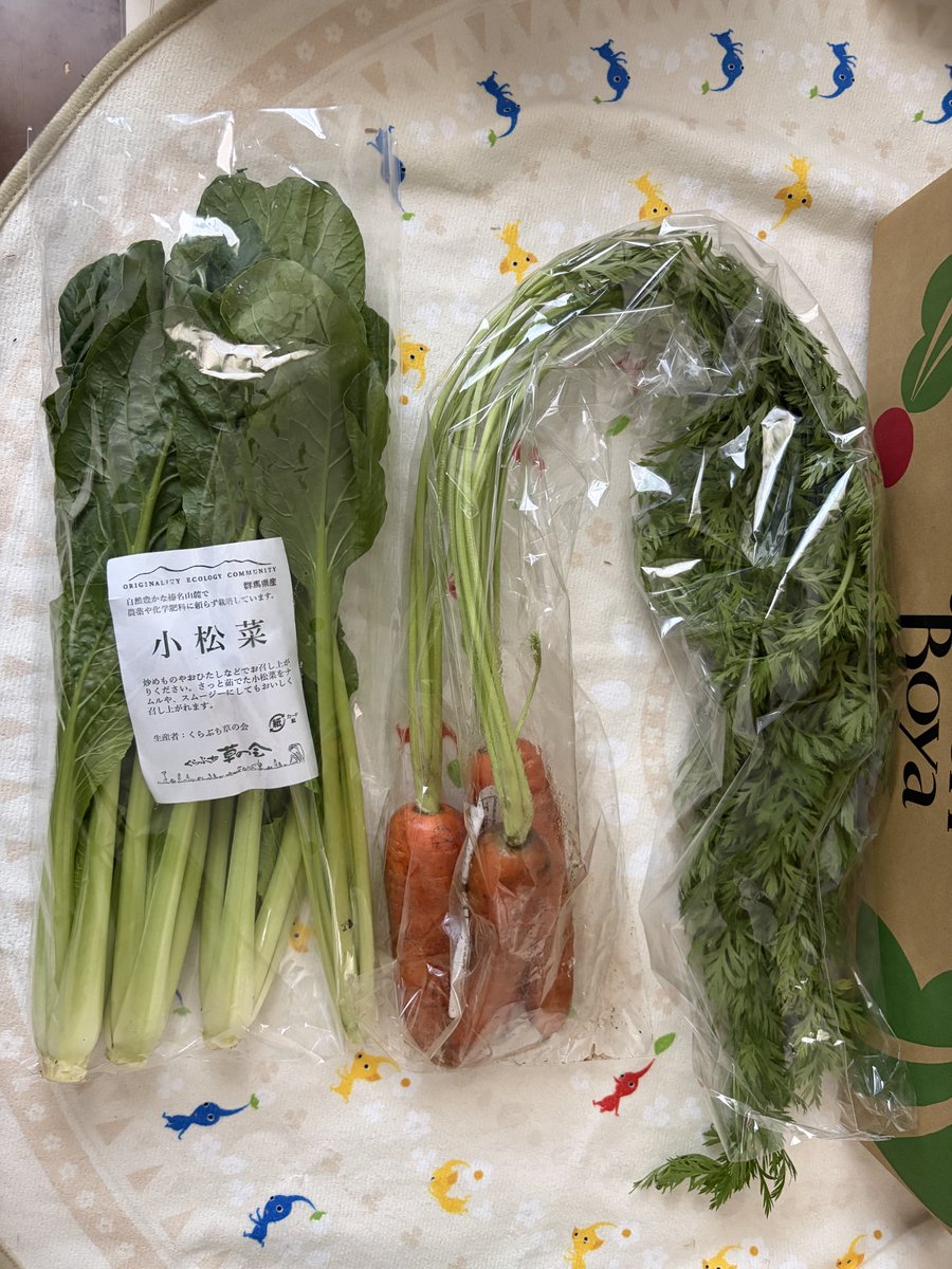 myuhta's tweet photo. 今月の品が届きました！
圧倒的パイナップルの香り！！！
お試し野菜箱のフルーツも今は手ちぎりパイナップルのターンの様です。
これ入ってたら絶対嬉しいよなぁ°˖✧
葉付き人参のボリュームも凄くてパワフルな一箱でした。 #らでぃっしゅぼーや #られしーず #モニター https://t.co/aNZaEGjJoa