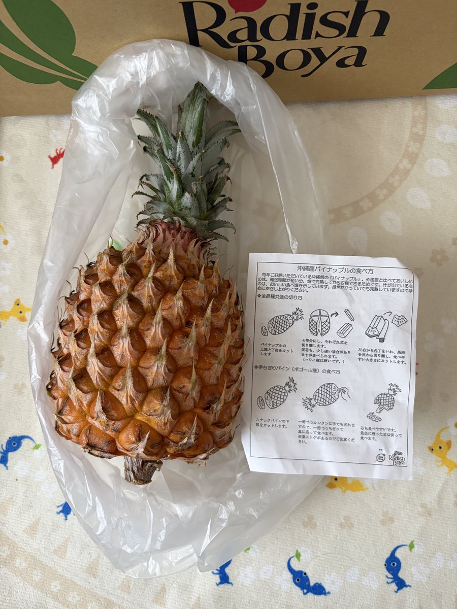 myuhta's tweet photo. 今月の品が届きました！
圧倒的パイナップルの香り！！！
お試し野菜箱のフルーツも今は手ちぎりパイナップルのターンの様です。
これ入ってたら絶対嬉しいよなぁ°˖✧
葉付き人参のボリュームも凄くてパワフルな一箱でした。 #らでぃっしゅぼーや #られしーず #モニター https://t.co/aNZaEGjJoa