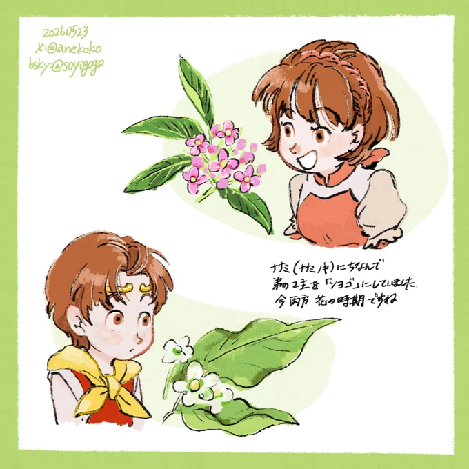 ナナミとソヨゴ 