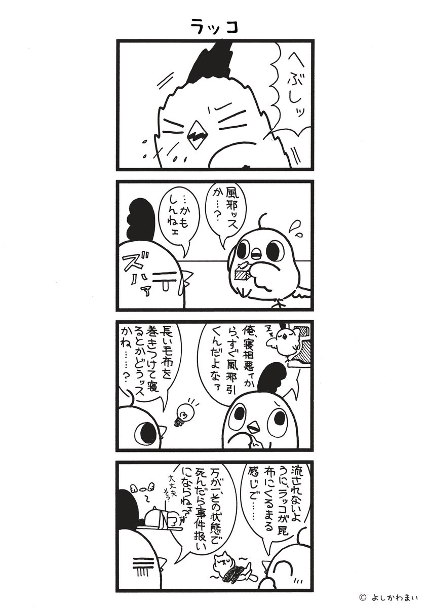 鳥さん。@毎日更新 tweet media