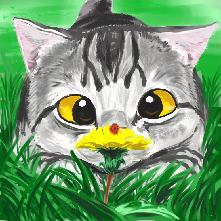 OniTatu99's tweet photo. 朝のニャンコ詰め合わせ🩷
おはようございます🐾☀️☀️💕🐾🥰🥰🥰
今日も、もふもふニャンコさんをお楽しみください♨️♨️♨️ https://t.co/IH3y9ncN0u