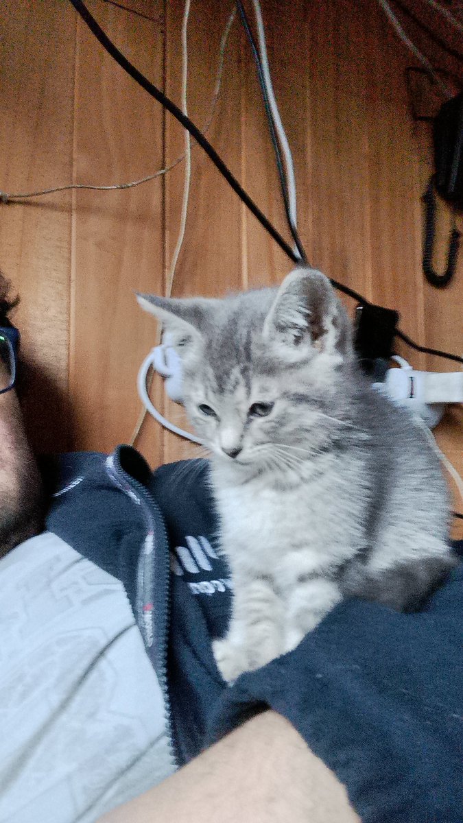 jechuiba's tweet photo. My babies, tiny and beautiful https://t.co/7oSluStnPT