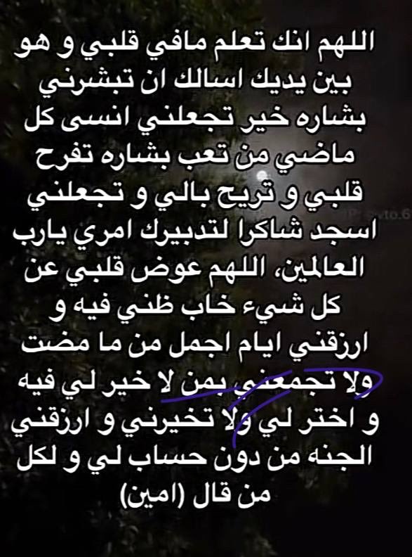 (الملكيه النخبويه🏆🏆 tweet media