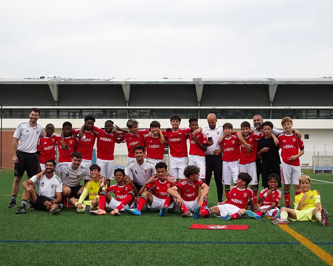 Information Glorious - SL Benfica tweet media