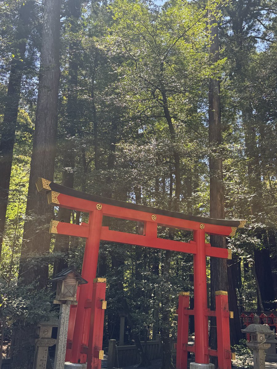 龍神様と母なる女神の降臨 書籍版『母と龍神さま』が発売されます