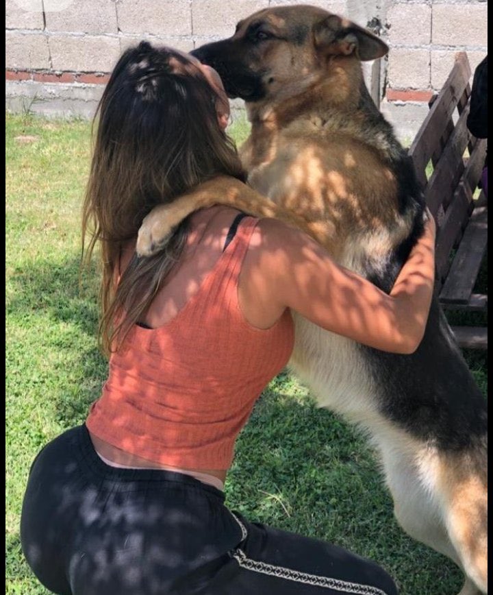 preshslut79's tweet photo. New k9 girl, I enjoy letting my paps'*.: cüm dip inside of me'
Do, add me up on telegram
https://t.co/s7PnEelTnU
to have my nâsty vids. #zoophillia #zoosarevalid #beastiality #dogknot #zooprideisvalid #zoophiletwt
#zootwt #zoopositivity #grope #Pardi #jjk242spoilers
#USA
企 https://t.co/pdWKuYObBN