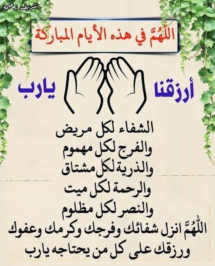 طالبة الغفران tweet media