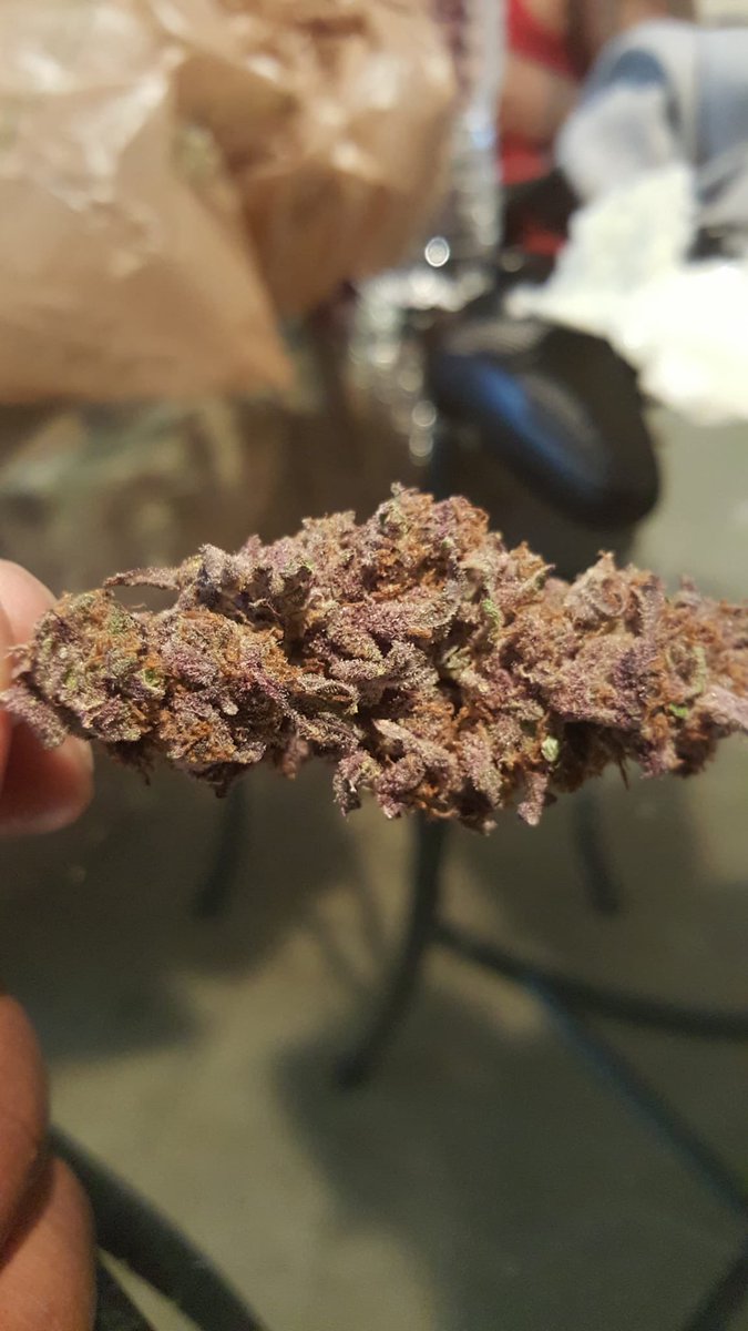 OGCM_Farms tweet media