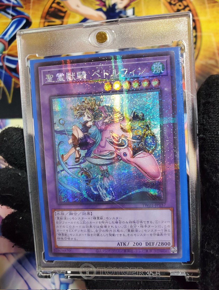 クロエ☆ tweet media