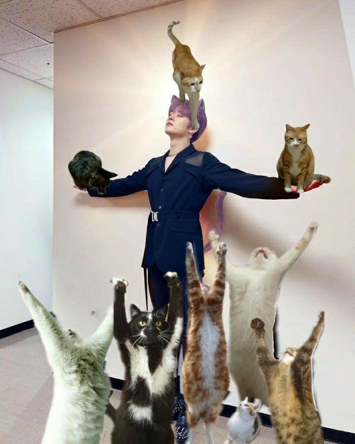 ✩𝙎𝑒𝑢𝑛𝑔𝑚𝑖𝑛 🐶 𖦹𝓑𝒾𝒶𝓼𝓮𝒹⊹ ࣪ ˖ tweet media