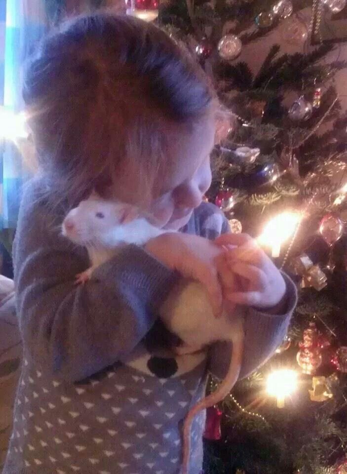 Rat 🎀 tweet media