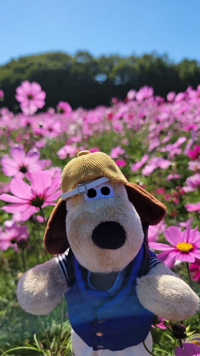 chrisboy_cb's tweet photo. 🥰🌸 https://t.co/OcYyZNwEl4