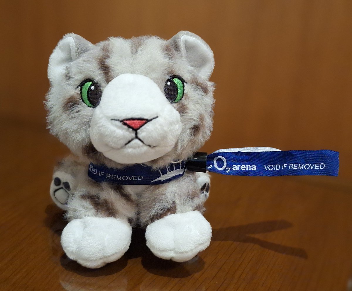 On_a_FineLine's tweet photo. The snow leopard plush is so cute
I had to take one after the show #konnakoltour @inZAYN https://t.co/msrDuWUymy
