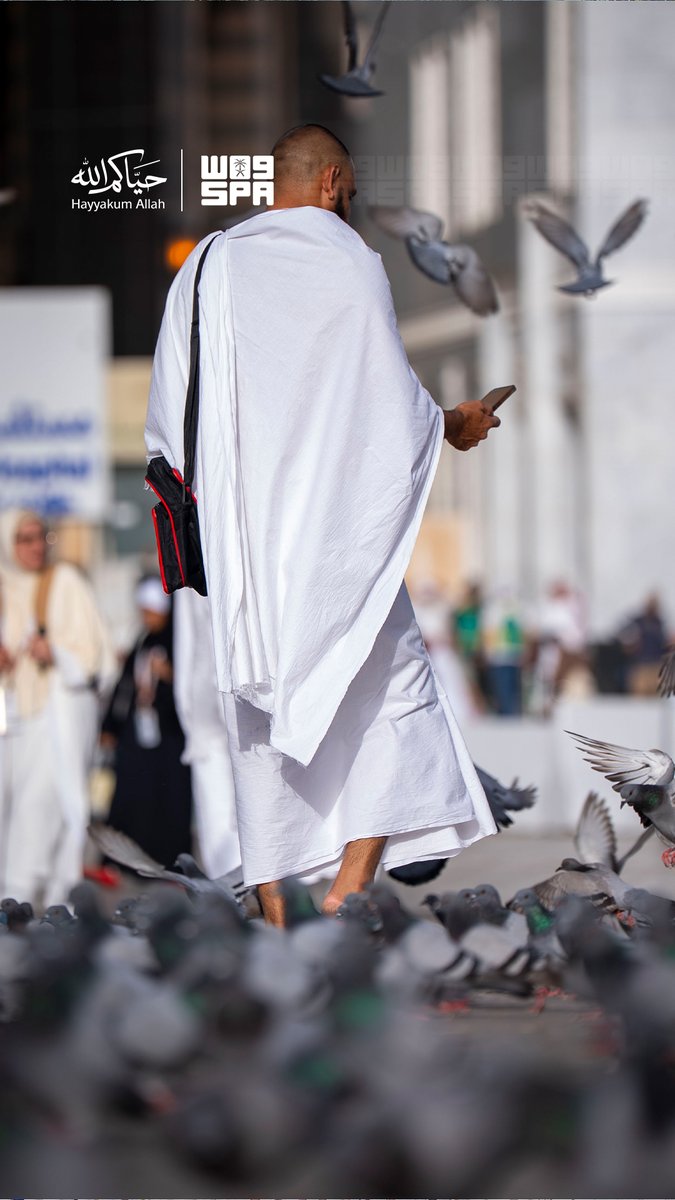 واس العام tweet media