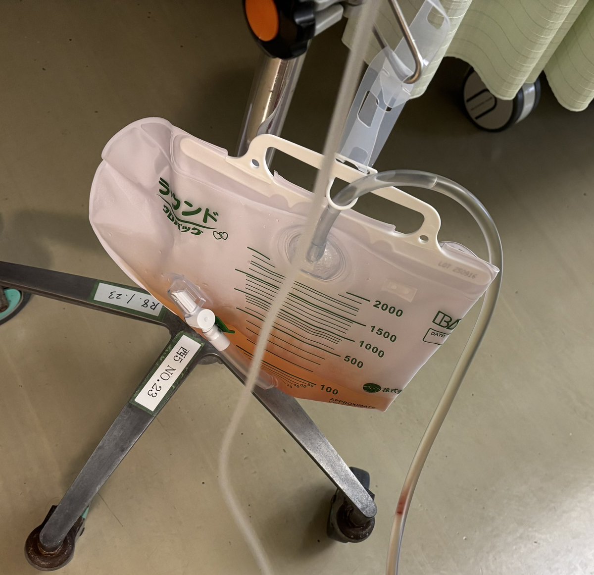 むーちゃん(自転車用) tweet media