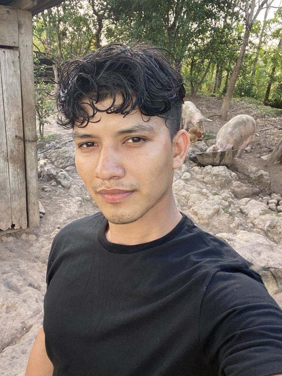 Wilmer Méndez tweet media