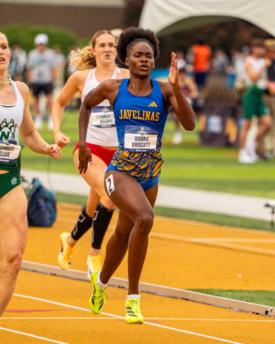 JavelinaTFXC's tweet photo. THAT’S A SIX-TIME ALL-AMERICAN

Oneika earns the first individual outdoor All-American honors of her career!!

#LosHogs X #JALISCO https://t.co/Agep8prUfL