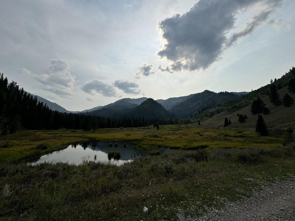 Snorchalot's tweet photo. Greys river road, Wyoming. 45 min drive from Jackson to Alpine, where you enter the road. 75+ miles long. Tons of spots to disperse camp along the river. 14 day camp limit. Good hiking, and many connecting forest roads to explore. Whole main road can be done in a car. Connecting forest road offshoots mostly require ground clearance and 4WD required in certain spots. A Subaru or camper van could likely handle all of it though.