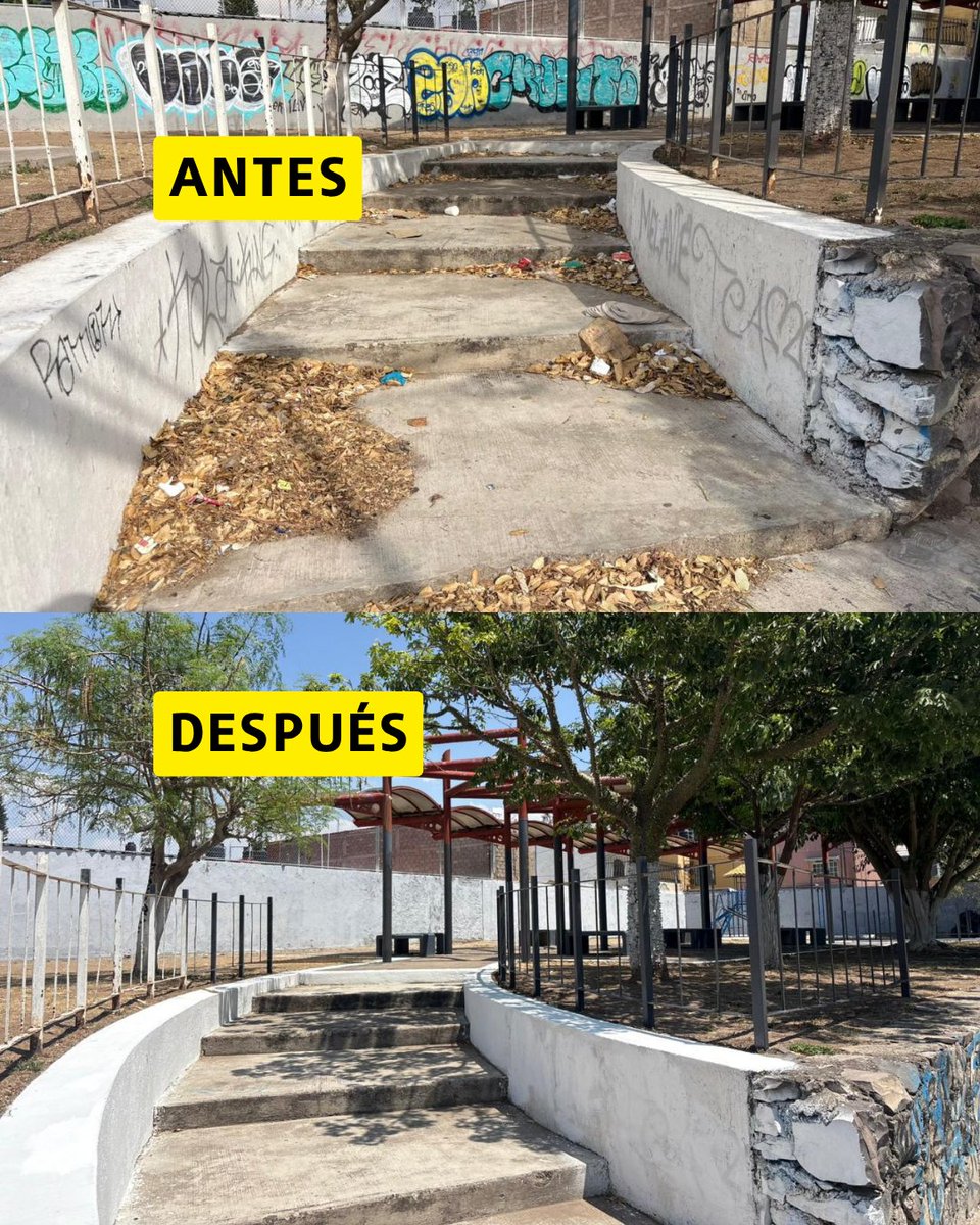 mery_pozos's tweet photo. Estuvimos en la colonia La Loma rehabilitando un parque que se encontraba en completo abandono.

Ante la incapacidad del gobierno de Movimiento Ciudadano, mi equipo y yo recuperamos este espacio para que niñas, niños y familias puedan volver a usarlo y disfrutarlo como un lugar digno, limpio y seguro para la comunidad.

Seguimos trabajando en territorio, recuperando espacios públicos y construyendo comunidad junto a las y los vecinos.