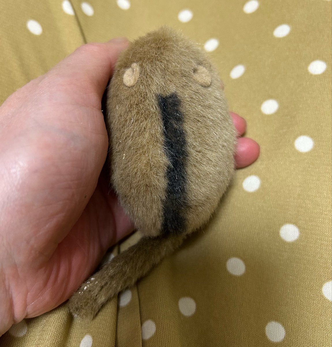 やまね工房のぬいぐるみ、網走のお店で買いました☺️めちゃくちゃ
