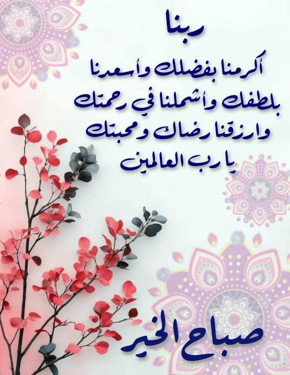 منى🦋 tweet media