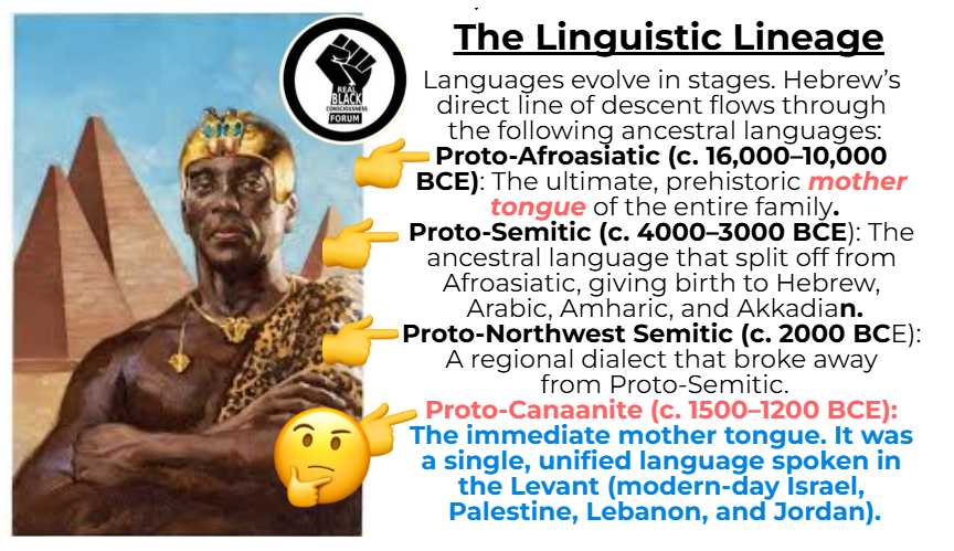 Prest_St_BigVJ's tweet photo. The Linguistic Lineage Tree 
Proto-Afroasiatic is the father to Proto-Semitic.
Proto-Semitic is the father to Proto-NW Semitic.
Proto-NW Semitic is the father of Proto-Canaanite. 
Proto-Canaanite is the father of the Hebrew language. #linguistic #shem #ham #semitic #language https://t.co/QVBBTDpaRr