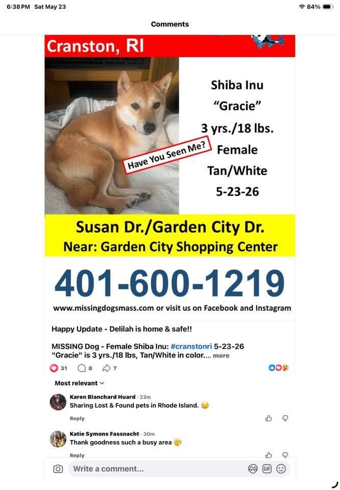 SistersInBiz's tweet photo. Lost dog
#Cranston #RI
Shiba Inu
Tan, female, 3 years old
Very timid and shy
Area: Garden City, Susan Dr.
Last seen at Wendy’s on Reservoir Ave
https://t.co/Nl72qeoiI7 
#Rhodeisland #Oceanstate #Lostdog https://t.co/kVx1TChFkX