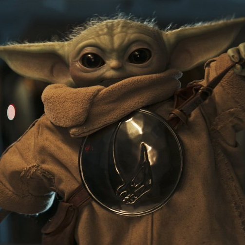 Padme’s Order tweet media