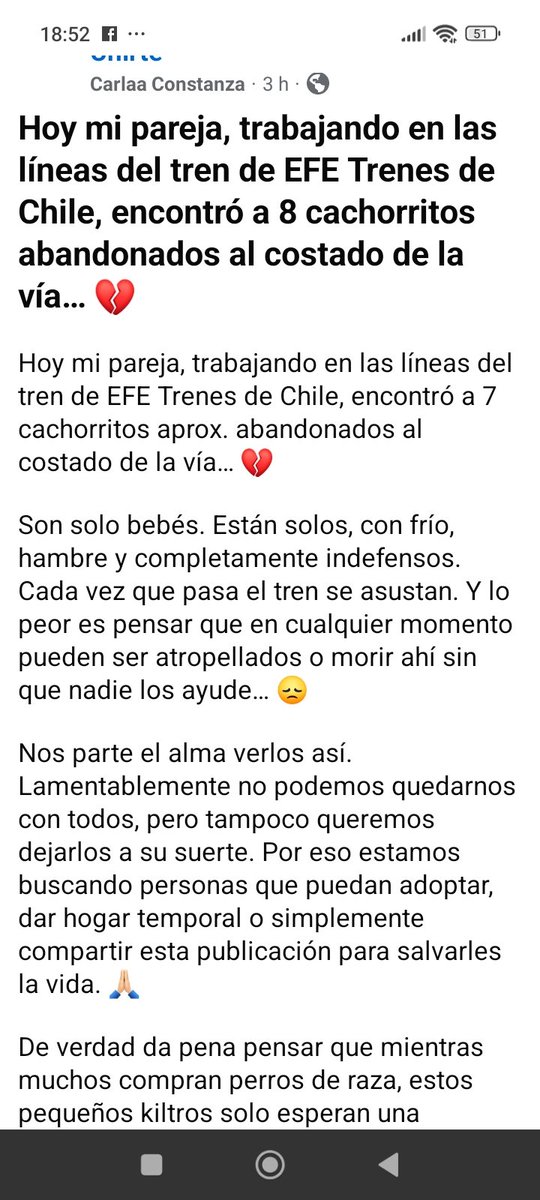 el Rockdrigo ❤💜💚🌳🌳🌳🌳🐈⬛🐕 tweet media