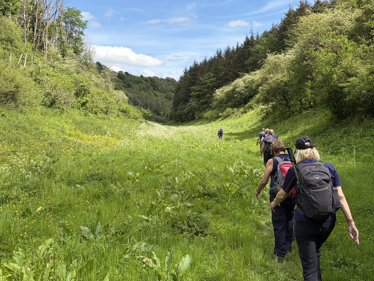 TeamWalking's tweet photo. North York Moors Walking Weekend, based at Hawnby. 

A beautiful late spring day walking through deep wooded valleys to Rievaulx Abbey. A day of woodland and flowers, ancient churches and monastic remains, wonderful people and pubs. 

For more adventures 
https://t.co/bGTvOxt9di https://t.co/kz9yDhCypd