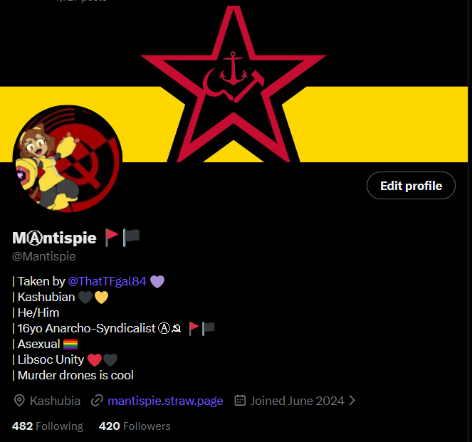 MⒶntispie 🚩🏴 tweet media