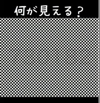どく姉 tweet media
