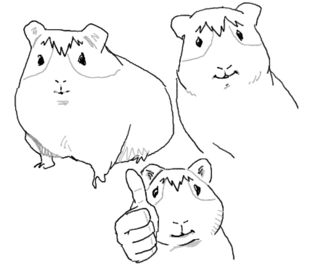 角 tweet media