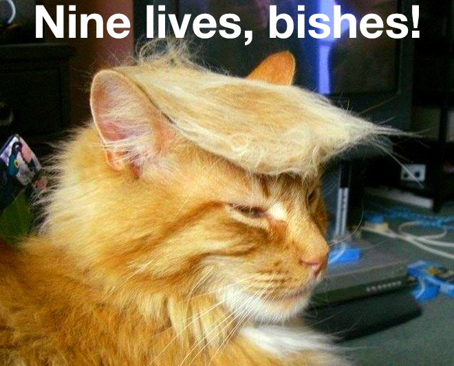 il Donaldo Trumpo tweet media