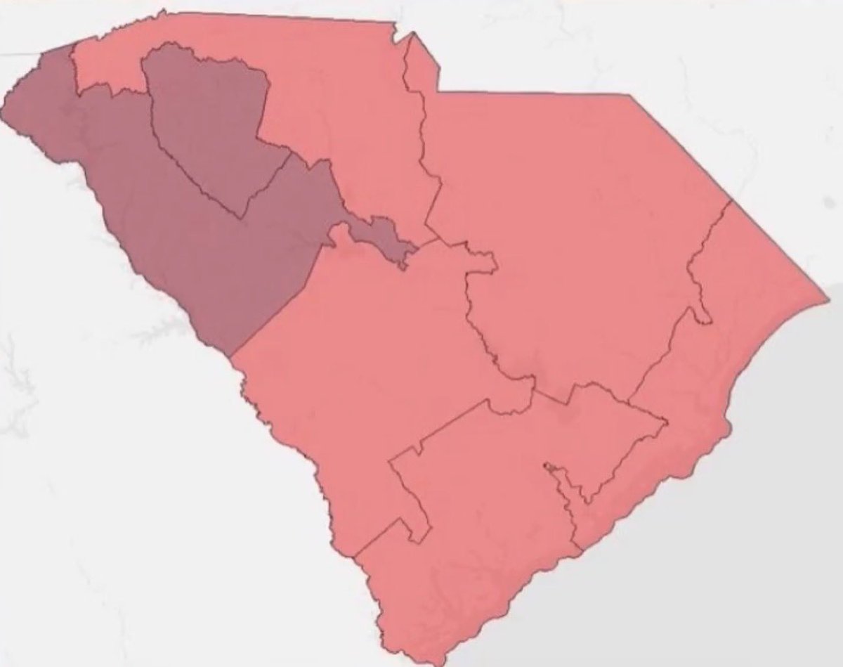 NancyMace's tweet photo. REDISTRICTING PASSES SOUTH CAROLINA SENATE. https://t.co/kl1QhPKeXR