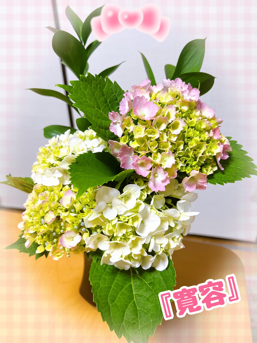 ringring8484's tweet photo. 暑さ寒さも和らいでご機嫌なマシュの朝散歩中🐾 
いつも綺麗なお花を育てているご近所さんに ＃紫陽花🪻をいただきました💝
八人の仙人が宴の最中に酒をこぼしたところが花になったという（要約😅）ヤンチャな伝説もある🍶可憐な花に癒されて 皆様も微笑ましい1日を😊
＃ポメラニアン ＃八仙花 https://t.co/WunCLu9vsD