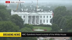 The Federalist Press 🇻🇦🇺🇸 tweet media