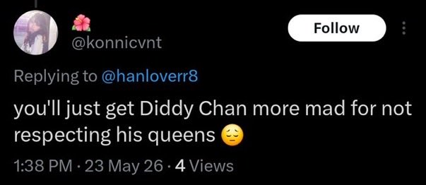 probably annie ⁸💗🖤(Bang chan's ex) homaika 2025 tweet media