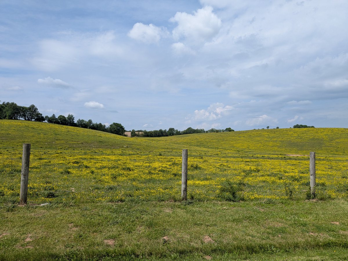 DosCicadas's tweet photo. Views from the road this week in Kentucky: https://t.co/IcwI3tAnYe
